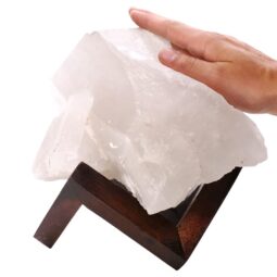 Natural Clear Quartz Specimen on Timber Stand 8cm T3238 | Crystal Factory