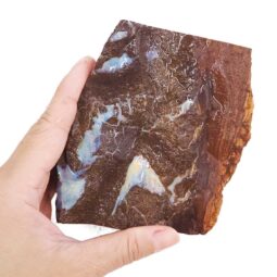 Boulder Opal Rough Parcel R646 | Crystal Factory