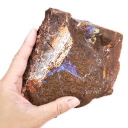 Boulder Opal Rough Parcel R646 | Crystal Factory