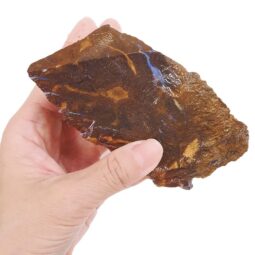 Boulder Opal Rough Parcel R646 | Crystal Factory
