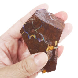 Boulder Opal Rough Parcel R646 | Crystal Factory