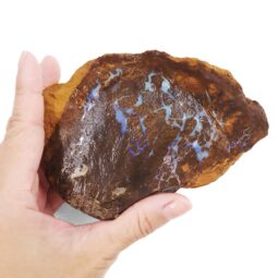 Boulder Opal Rough Parcel R647 | Crystal Factory