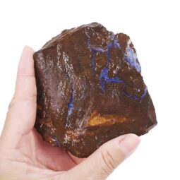 Boulder Opal Rough Parcel R647 | Crystal Factory