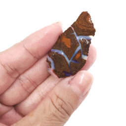Boulder Opal Rough Parcel R648 | Crystal Factory