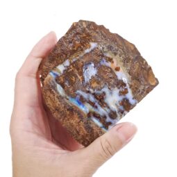 Boulder Opal Rough Parcel R649 | Crystal Factory