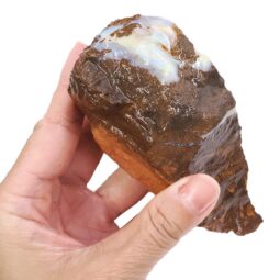6.16kg Boulder Opal Roughs Parcel R650 13 Boulder Opal Rough Parcel R650 | Crystal Factory