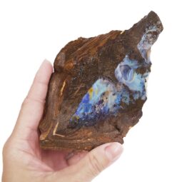 6.16kg Boulder Opal Roughs Parcel R650 11 Boulder Opal Rough Parcel R650 | Crystal Factory