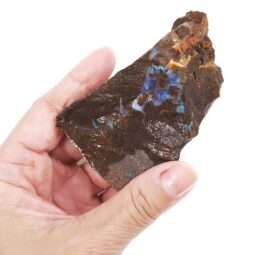 6.16kg Boulder Opal Roughs Parcel R650 12 Boulder Opal Rough Parcel R650 | Crystal Factory