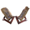 Boulder Opal Roughs Pair 2 Pieces L561 | Crystal Factory