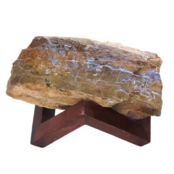 Boulder Opal Roughs Pair 2 Pieces L561 | Crystal Factory