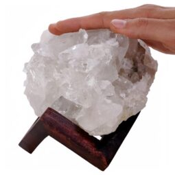 Natural Clear Quartz Specimen on Timber Stand 8cm R636 | Crystal Factory