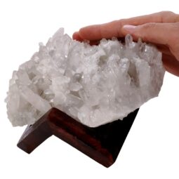 Natural Clear Quartz Specimen on Timber Stand 8cm R637 | Crystal Factory