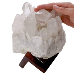 Natural Clear Quartz Specimen on Timber Stand 8cm S1629 | Crystal Factory