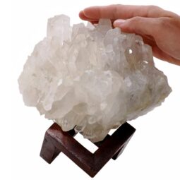 Natural Clear Quartz Specimen on Timber Stand 8cm S1630 | Crystal Factory