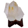 Natural Clear Quartz Specimen on Timber Stand 8cm S1631 | Crystal Factory