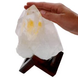 Natural Clear Quartz Specimen on Timber Stand 8cm S1631 | Crystal Factory
