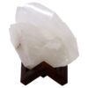 Natural Clear Quartz Specimen on Timber Stand 8cm S1637 | Crystal Factory