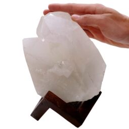 Natural Clear Quartz Specimen on Timber Stand 8cm S1637 | Crystal Factory
