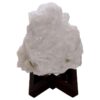 Natural Clear Quartz Specimen on Timber Stand 8cm S1642 | Crystal Factory