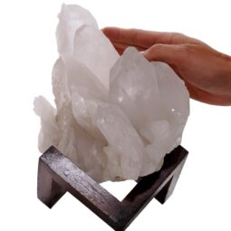 Natural Clear Quartz Specimen on Timber Stand 8cm S1643 | Crystal Factory