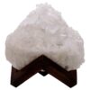 Natural Clear Quartz Specimen on Timber Stand 12cm S1645 | Crystal Factory