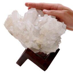Natural Clear Quartz Specimen on Timber Stand 8cm S1646 | Crystal Factory