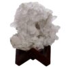 Natural Clear Quartz Specimen on Timber Stand 8cm S1647 | Crystal Factory