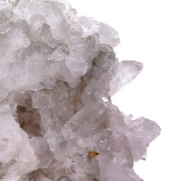 Natural Clear Quartz Specimen on Timber Stand 8cm S1647 | Crystal Factory