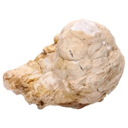 Natural Calcite Geode Pair S1676 | Crystal Factory