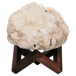 5.1kg Calcite Geode Pair on Timber Stand 12cm S1681 6 Calcite Geode Pair on Timber Stand 12cm S1681 | Crystal Factory