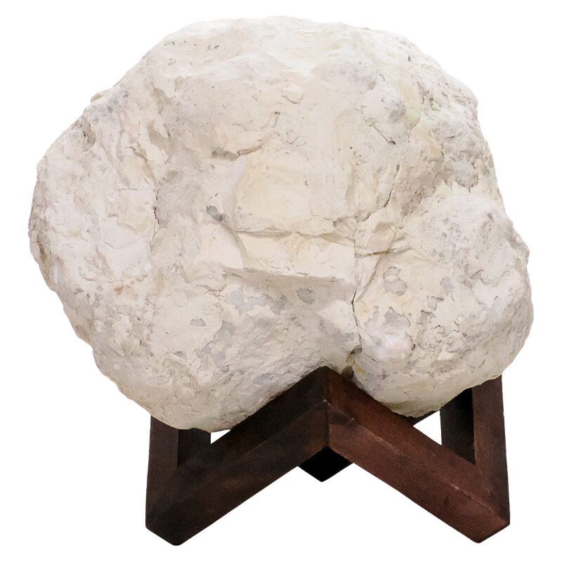 10.3kg Calcite Geode Pair on Timber Stand 12cm S1684 4 Calcite Geode Pair on Timber Stand 12cm S1684 | Crystal Factory