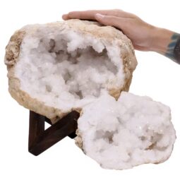 10.8kg Calcite Geode Pair on Timber Stand 12cm S1686 7 Calcite Geode Pair on Timber Stand 12cm S1686 | Crystal Factory