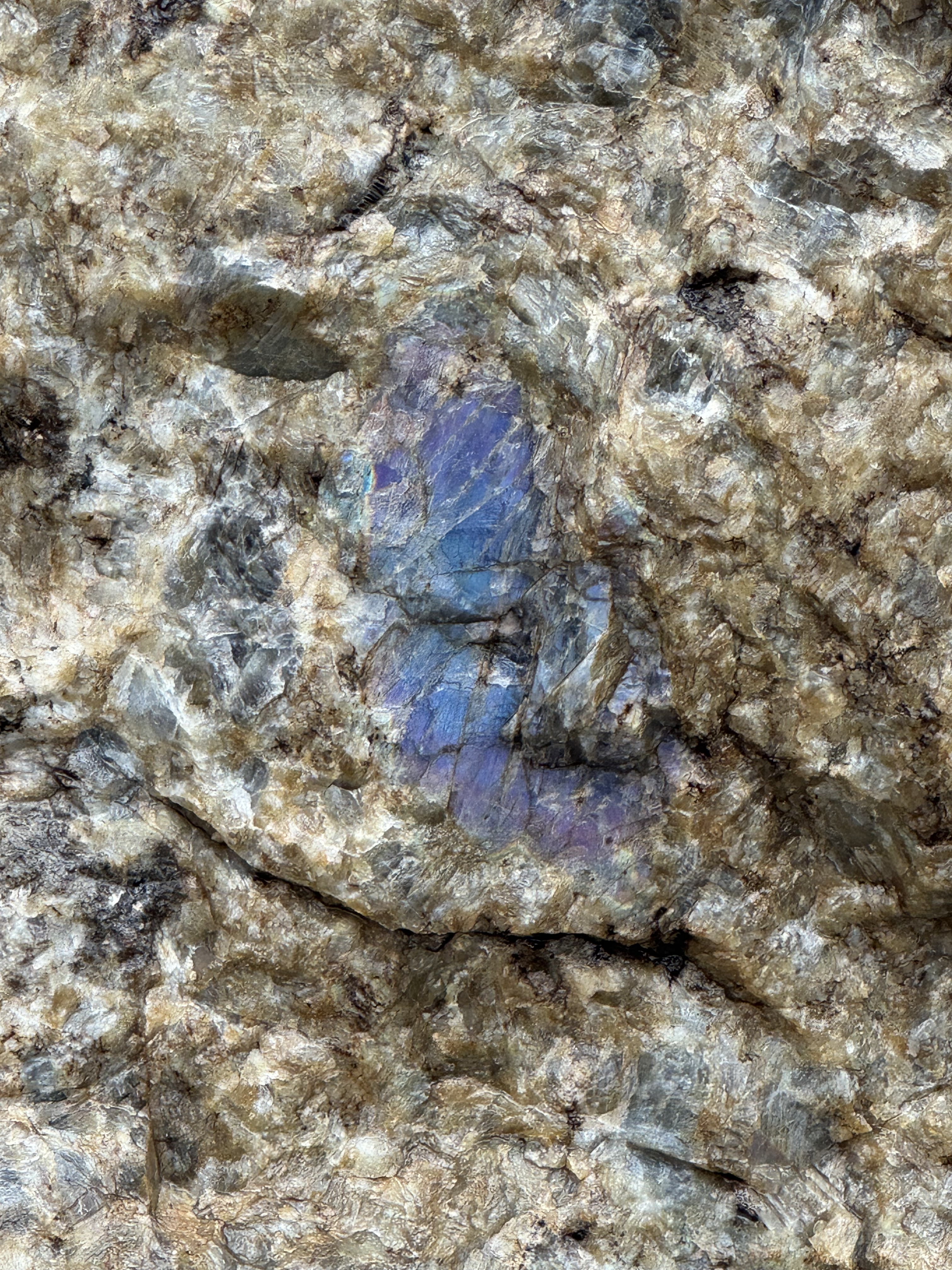 How We Travel the World to Source Our Crystals – Madagascar 2026 9 Raw labradorite shimmering with flashes of metallic blue, green, purple, and pink