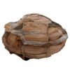 Moroccan Septarian Nodule P2189 | Crystal Facctory