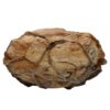 Moroccan Septarian Nodule P2191 | Crystal Facctory