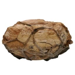 Moroccan Septarian Nodule P2191 | Crystal Facctory