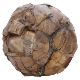 Moroccan Septarian Nodule P2193 | Crystal Facctory