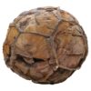 Moroccan Septarian Nodule P2195 | Crystal Facctory