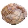 Moroccan Septarian Nodule P2196 | Crystal Facctory