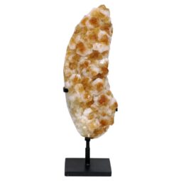Citrine Cluster on Metal Stand H17 | Crystal Factory