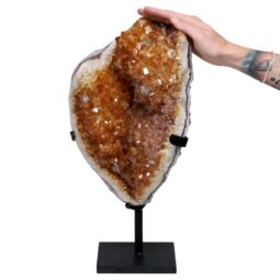 12.2kg Citrine Cluster on Metal Stand H19 5 Citrine Cluster on Metal Stand H19 | Crystal Factory