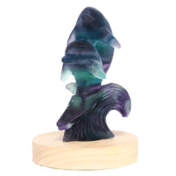 0.55kg Rainbow Fluorite Dolphins Carving on LED Light Base B920 11 Rainbow Fluorite Dolphins Carving on LED Light Base B920 | Crystal Factory