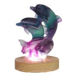 Rainbow Fluorite Dolphins Carving on LED Light Base B920 | Crystal Factory