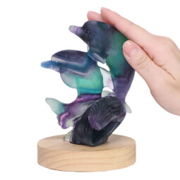 0.55kg Rainbow Fluorite Dolphins Carving on LED Light Base B920 10 Rainbow Fluorite Dolphins Carving on LED Light Base B920 | Crystal Factory