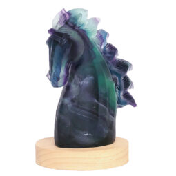 1.04kg Rainbow Fluorite Horse Carving on LED Light Base B918 14 Rainbow Fluorite Horse Carving on LED Light Base B918 | Crystal Factory