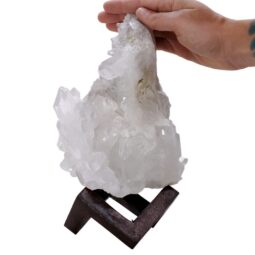 Natural Clear Quartz Specimen on Timber Stand 8cm S1725 | Crystal Factory
