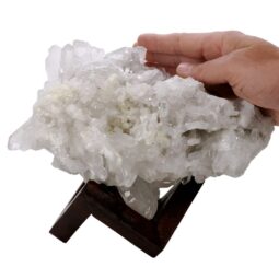 Natural Clear Quartz Specimen on Timber Stand 8cm S1728 | Crystal Factory