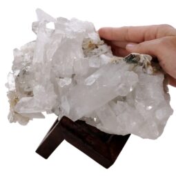 3.4kg Natural Clear Quartz Specimen on Timber Stand 8cm S1730 5 Natural Clear Quartz Specimen on Timber Stand 8cm S1730 | Crystal Factory