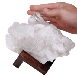 Natural Clear Quartz Specimen on Timber Stand 8cm S1732 | Crystal Factory