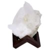 Natural Clear Quartz Specimen on Timber Stand 8cm S1734 | Crystal Factory